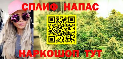 сатива Кумертау