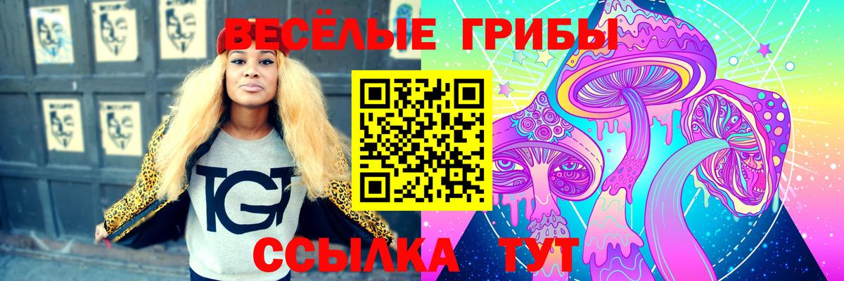 Галлюциногенные грибы прущие грибы  Вход с VPN  Галлюциногенные грибы Psilocybe  Зима 