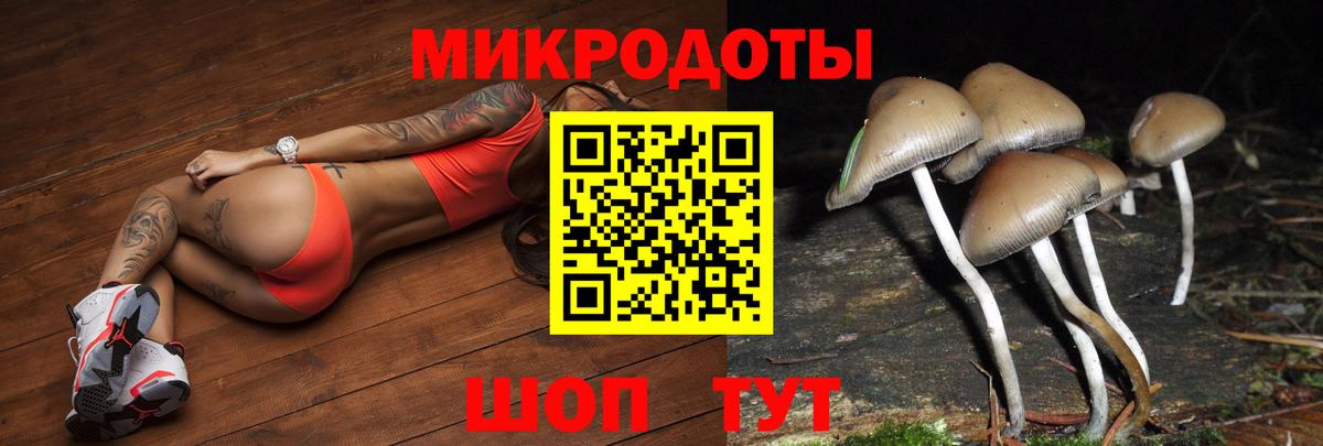 Псилоцибиновые грибы Cubensis Зима