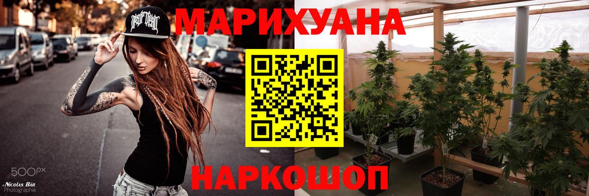 Каннабис ГИДРОПОН Зима